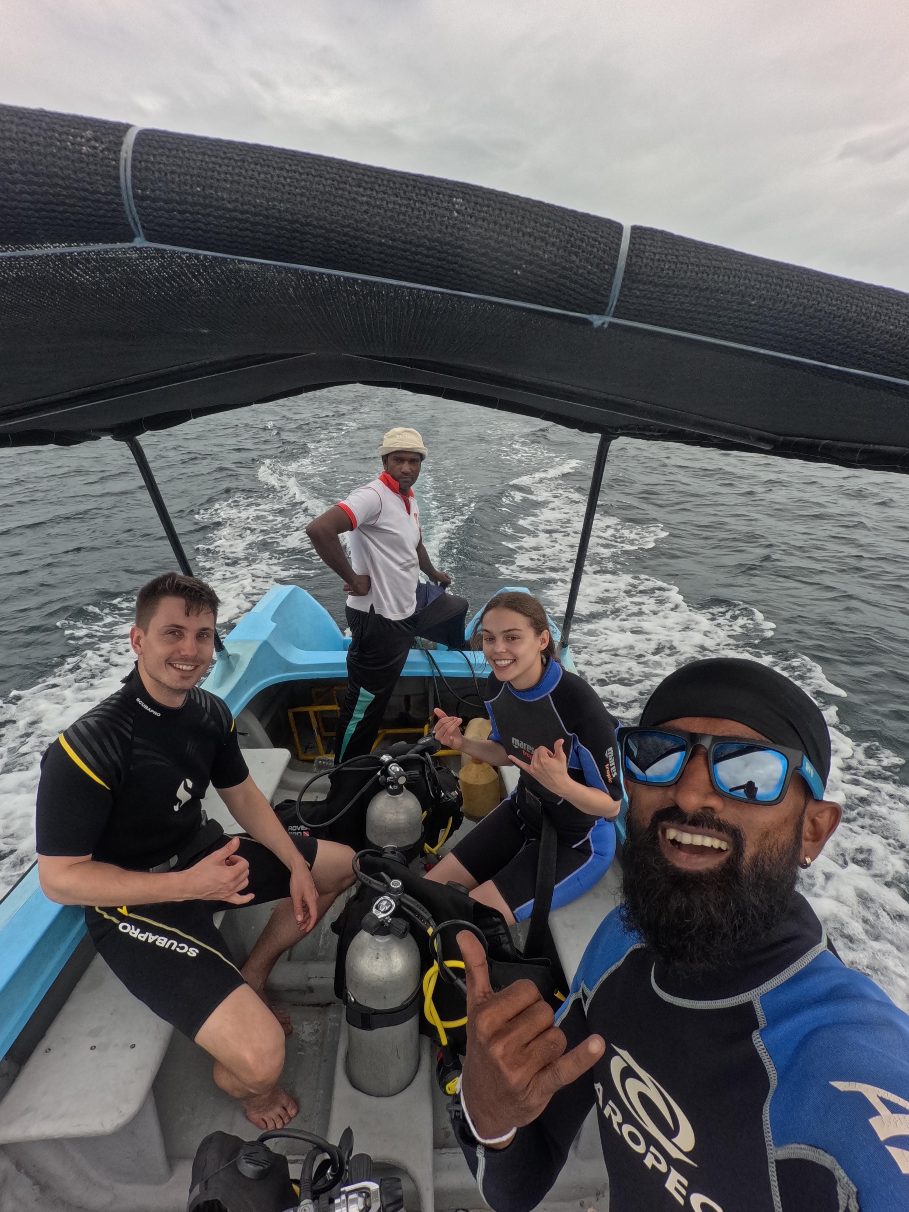 Dolphin Watching