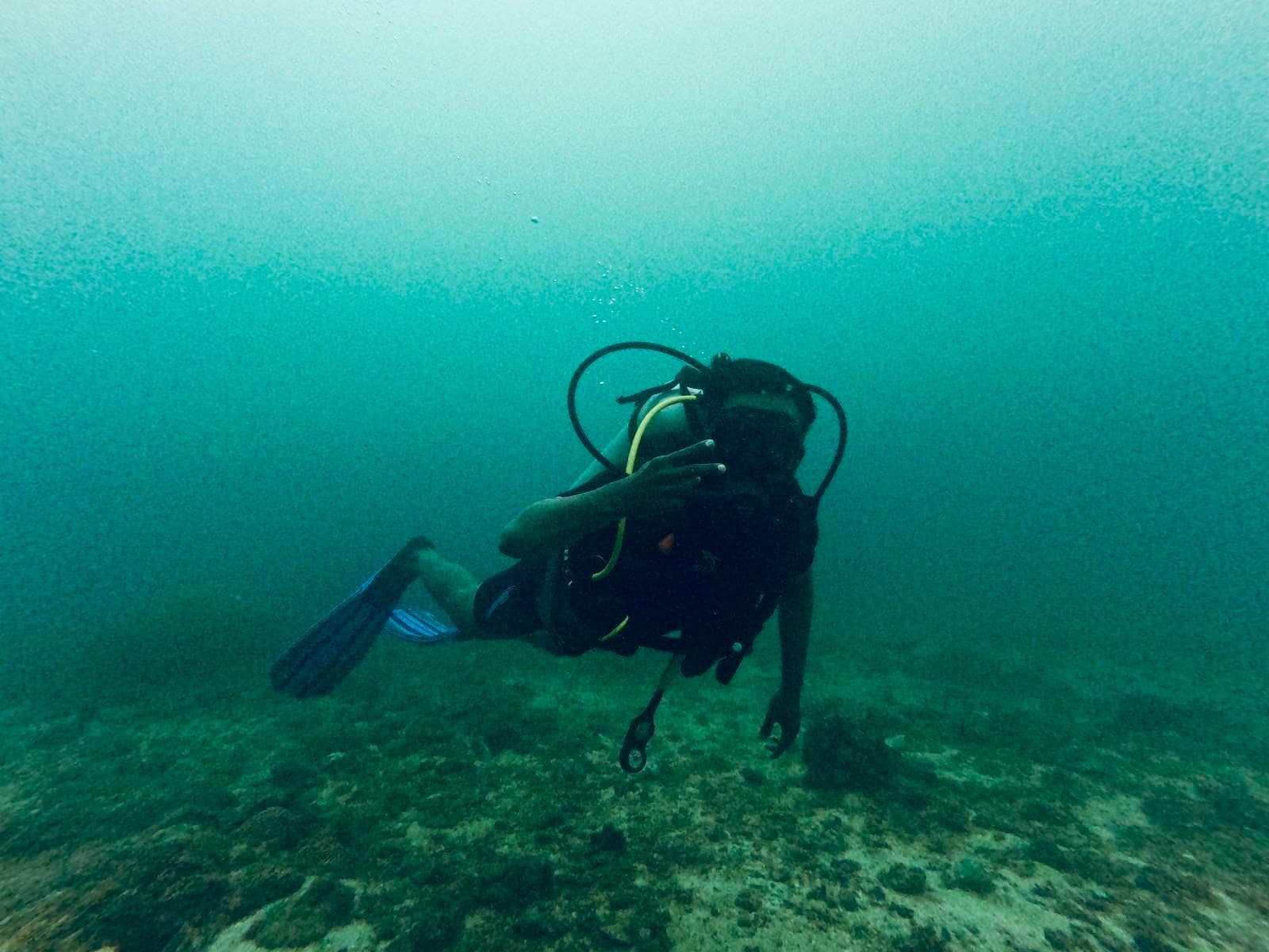 HMS Hermes wreck dive — diver exploring the aircraft carrier off Trincomalee
